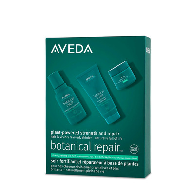 Aveda Botanical Repair Rich Fortifying Starter Kit