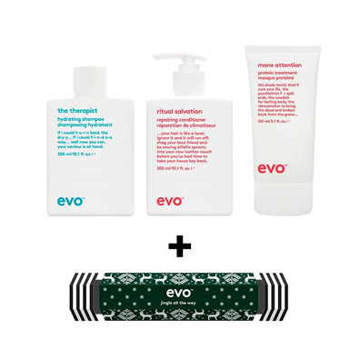Evo Pack für trockenes und strapaziertes Haar