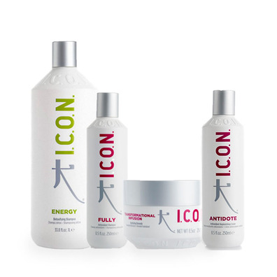 PACK ICON ENERGY 1L. FULLY 250 ML INFUSION   ANTIDOTE