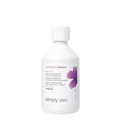 Z. Ein Restructure-In Shampoo 1000 ml